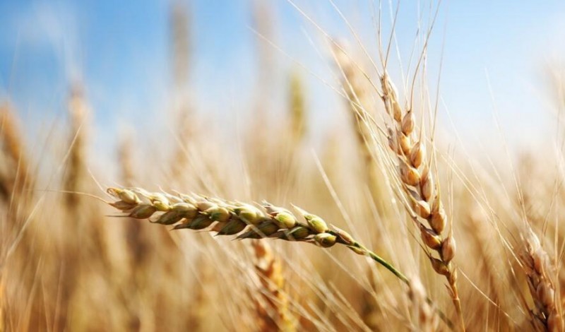 智慧農業發展基礎&mdash;四種數據、三大渠道