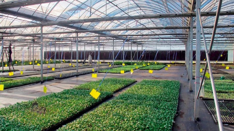 我國農(nóng)業(yè)生產(chǎn)在物聯(lián)網(wǎng)應(yīng)用方面存在的難題及解決措施