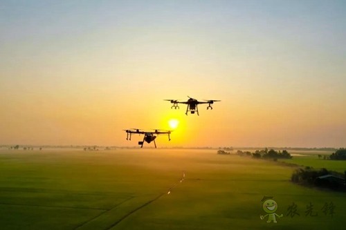 林重意:越南農(nóng)業(yè)植保飛防服務(wù)