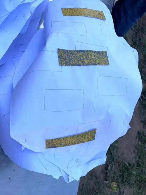 林重意:越南農(nóng)業(yè)植保飛防服務(wù)