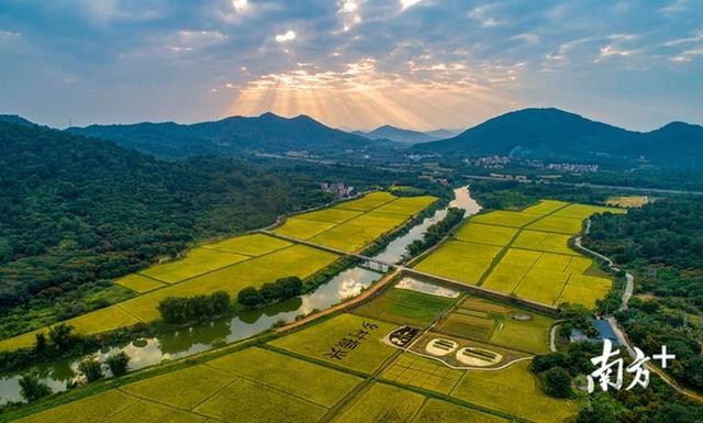 11個現(xiàn)代農(nóng)業(yè)項目在廣州從化動工