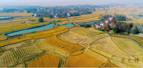 陳錫文:發(fā)展現(xiàn)代農(nóng)業(yè),意味著要消滅小農(nóng)戶嗎?