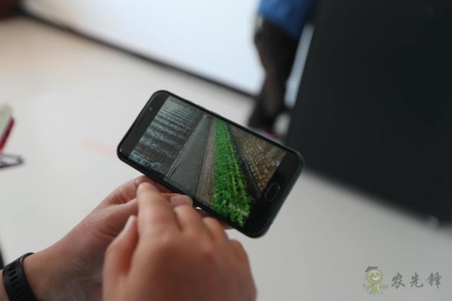 農業擺攤新模式，視頻連線和無人機都用上