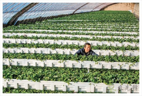 西省晉中市太谷縣國家現代農業產業園