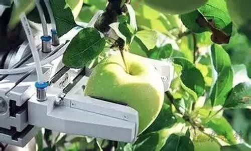 Tractica預計，到2025年，農業機器人的全球市場價值將達到879億美元。