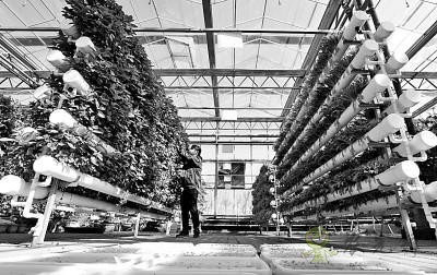 暢想下未來農業是啥樣子的?