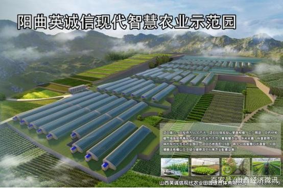 陽(yáng)曲縣精品農(nóng)業(yè)是如何打造的?