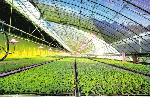 人物專(zhuān)訪