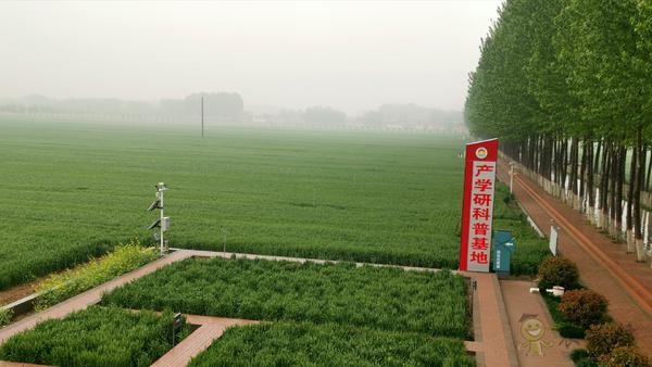 河南尉氏縣：5G+智慧農(nóng)業(yè) 農(nóng)田里有了這些“黑科技”
