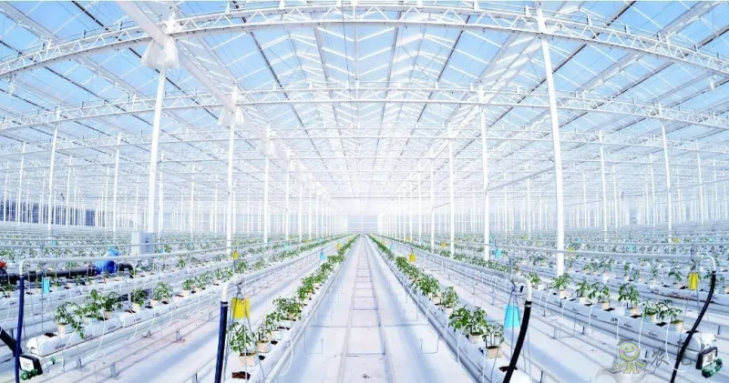 【農(nóng)業(yè)科技】智慧農(nóng)業(yè)會成為鄉(xiāng)村振興的利器嗎？