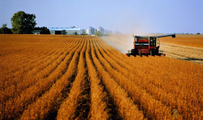 農業農村部:共建60個全國農業科技現代化先行縣