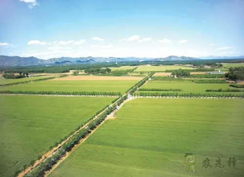 北京市率先從省級(jí)層面全面推行&ldquo;田長(zhǎng)制&rdquo;&mdash;&mdash;四級(jí)田長(zhǎng)共護(hù)首都耕地