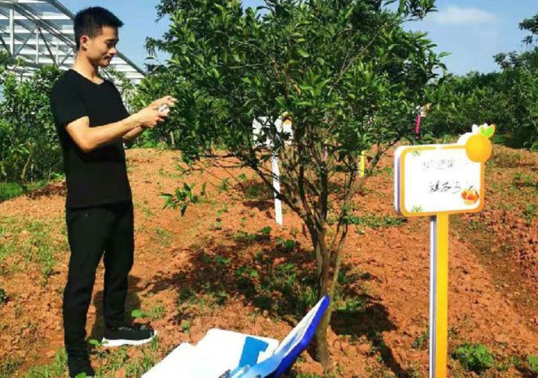 四川青神:打造智慧氣象數(shù)字果園 助力農(nóng)業(yè)產(chǎn)業(yè)現(xiàn)代化