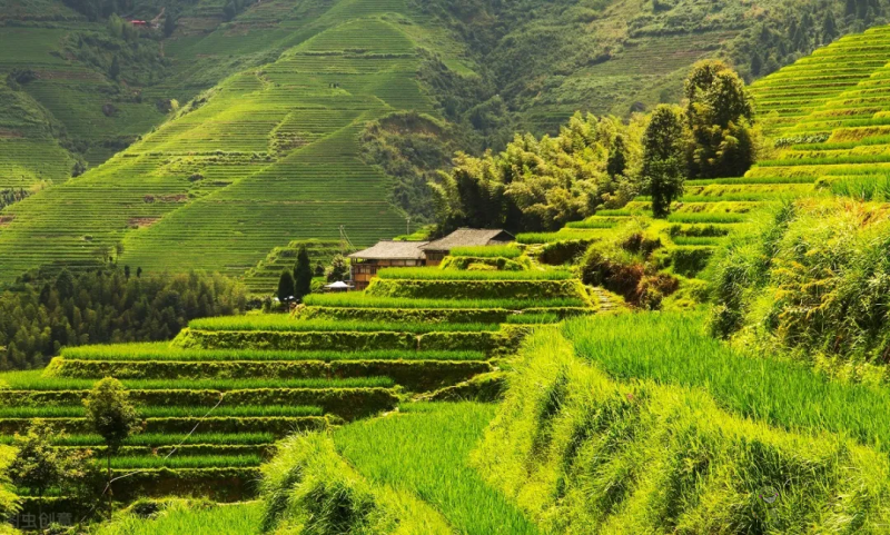 丘陵山區(qū)農(nóng)業(yè)拿什么實(shí)現(xiàn)機(jī)械化