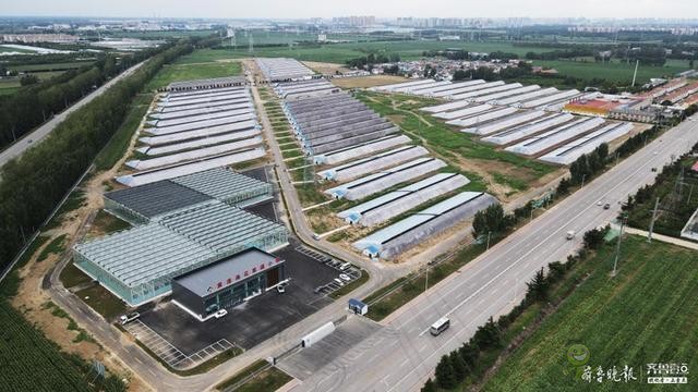 工業思維全力打造鄉村振興齊魯樣板:黃淮海花果蔬小鎮