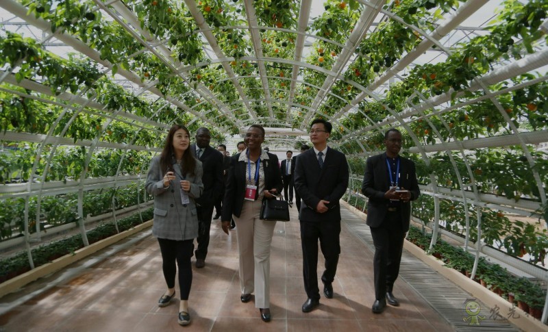 濰坊市外辦:構建&ldquo;外事+農(nóng)業(yè)&rdquo; 助力&ldquo;三個模式&rdquo;創(chuàng)新提升