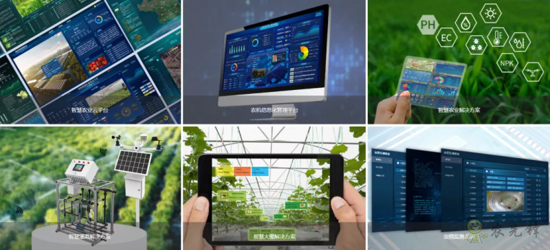 中國數字經濟規模全球第二，&ldquo;農業數字革命&rdquo;正在到來