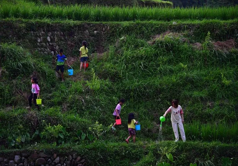 賀雪峰：未來 15 年， 鄉(xiāng)村振興關(guān)鍵在保底