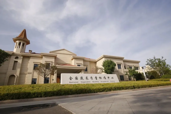 人均年收入40萬(wàn)+,壽光蔬菜成功秘訣到底是什么