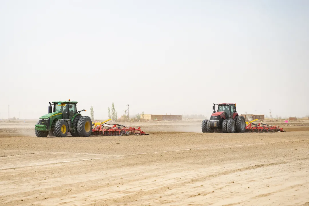 超級棉田喜獲豐收，極飛科技打造鄉村振興新樣本