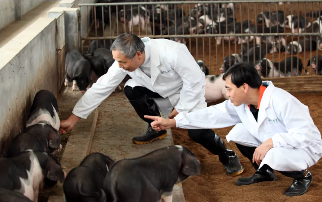 寧鄉:新型職業農民成為令人羨慕的“綠領”