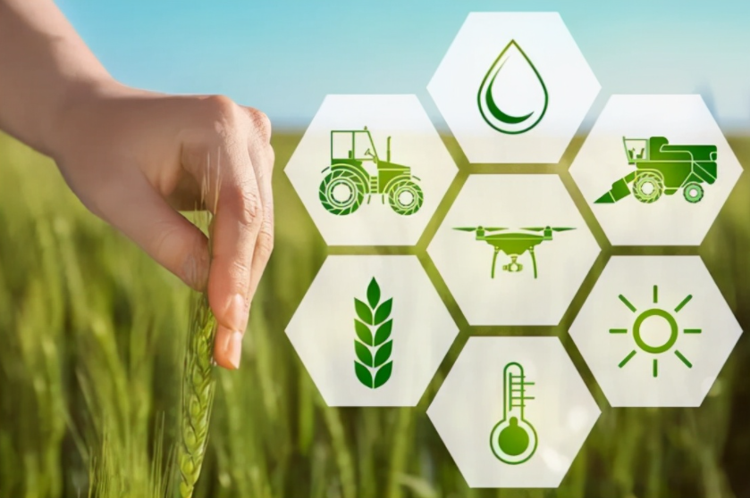 振興鄉(xiāng)村:大力發(fā)展智慧農(nóng)業(yè),智慧農(nóng)業(yè)迎來春天