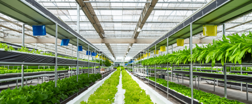 農業物聯網的作用?農業物聯網都應用在哪?