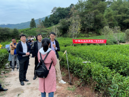 武夷山田間課堂:將農技送到田埂