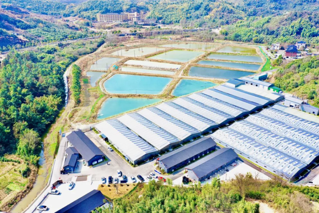 &ldquo;未來農(nóng)場&rdquo;的德清實踐