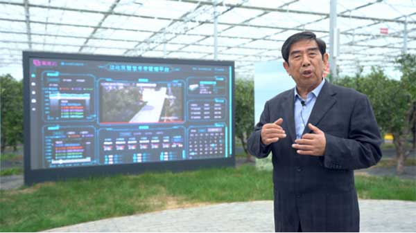 齊魯靈秀地 品牌農產品:智慧大棚里的沾化冬棗