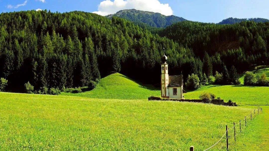 國內(nèi)首個數(shù)智鄉(xiāng)村指數(shù)公布，數(shù)智技術(shù)助力鄉(xiāng)村全面振興