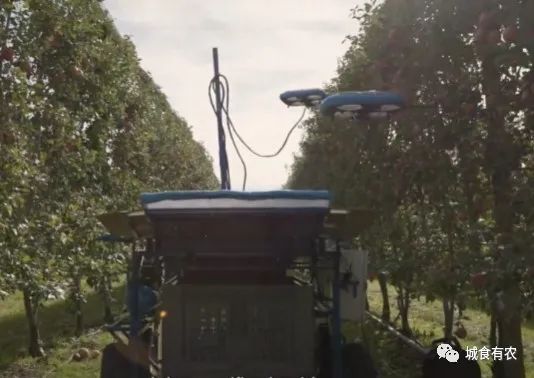 會(huì)摘蘋果的飛行機(jī)器人，從概念圖到商業(yè)化Tevel只用了4年