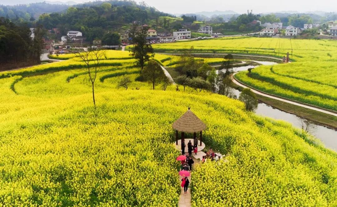 “特色小鎮”接連失敗,農村旅游開發如何做?