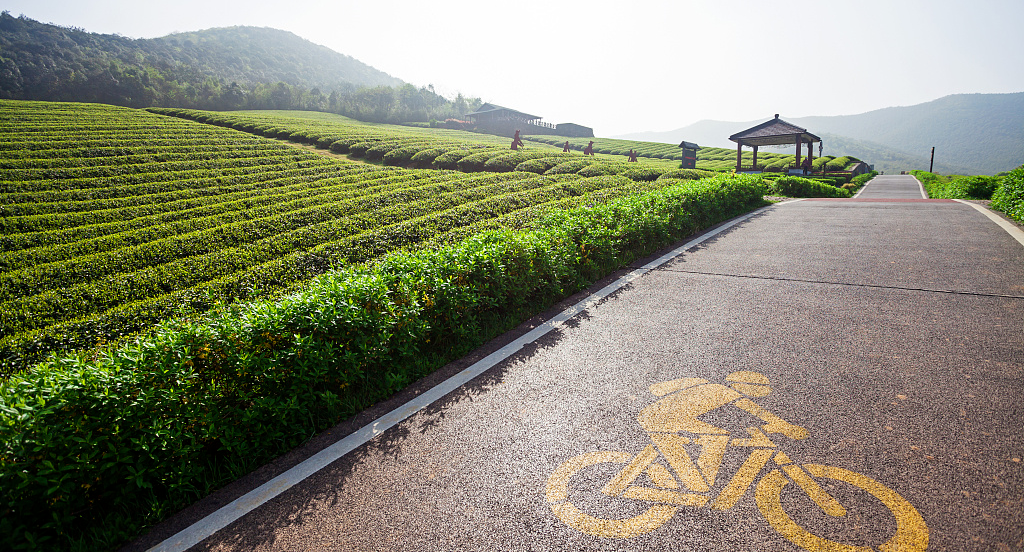 提檔升級！“十四五”期間我省將建50個省級現(xiàn)代農(nóng)業(yè)產(chǎn)業(yè)高質(zhì)量發(fā)展示范園