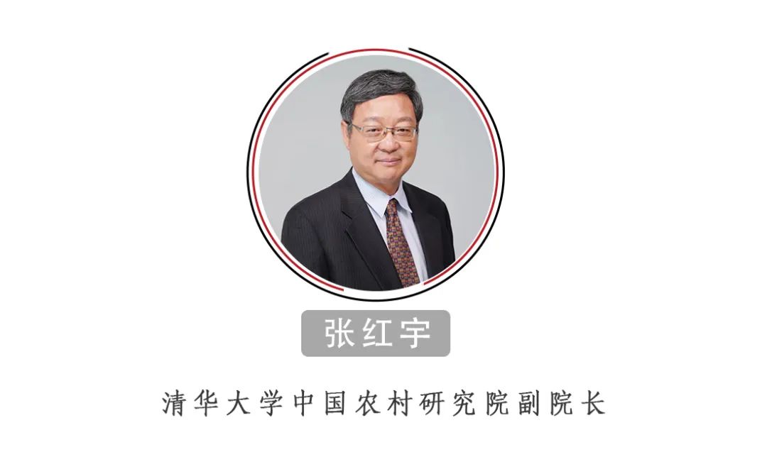 張紅宇：中國(guó)的糧食供給安全嗎？絕對(duì)沒(méi)有問(wèn)題！