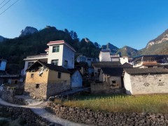 陳明:以超常改革舉措穩住農業農村基本盤