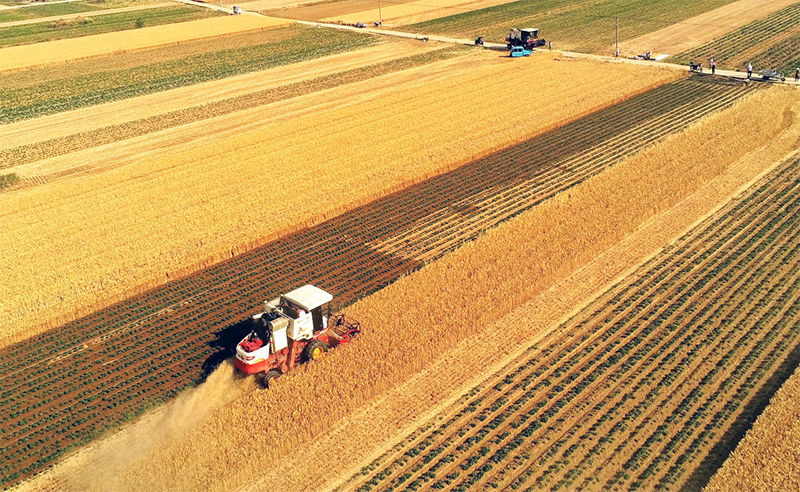 李天祥 鐘鈺：高質(zhì)量建設(shè)國(guó)家糧食安全產(chǎn)業(yè)帶