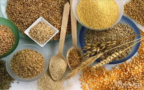 李天祥 鐘鈺：高質(zhì)量建設(shè)國(guó)家糧食安全產(chǎn)業(yè)帶