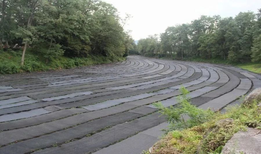 日本百年芥末農場：精耕單品，專注美食，以靜制動