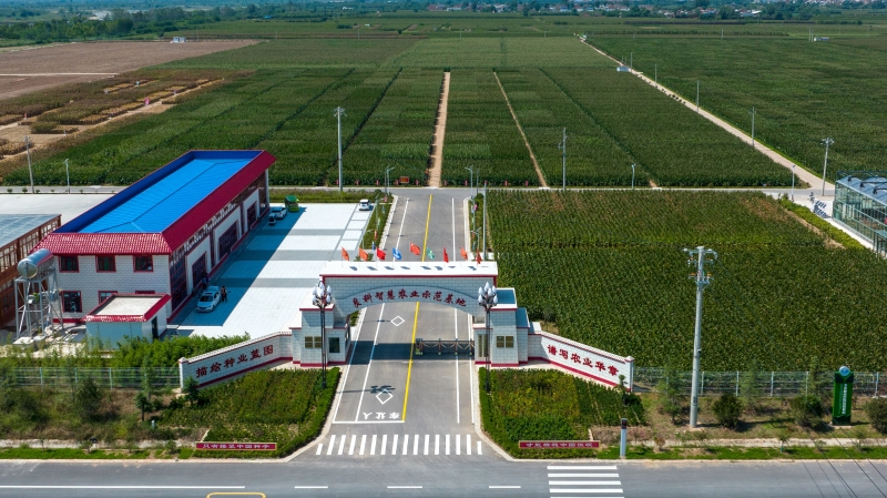 全國種業基地提升工作推進會在京召開 全國種業基地提升工作推進會在京召開