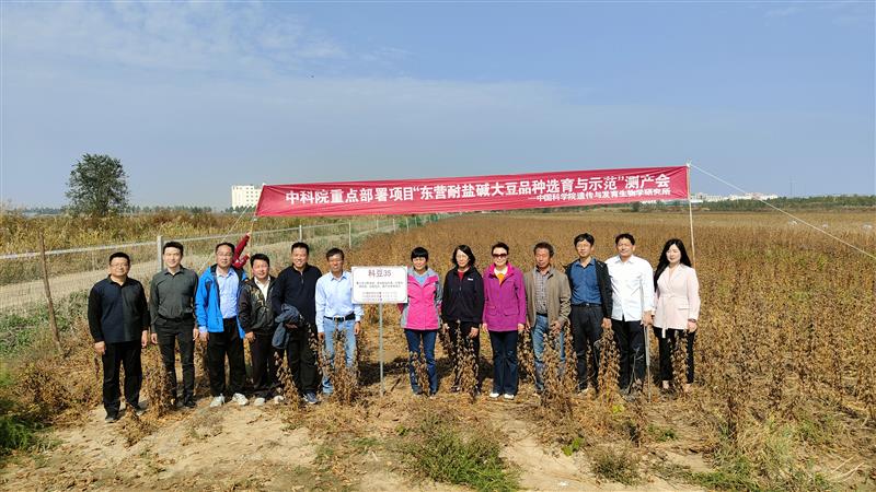 耐鹽大豆新品系完成實(shí)收測(cè)產(chǎn) 畝產(chǎn)達(dá)270公斤以上 耐鹽大豆新品系完成實(shí)收測(cè)產(chǎn) 畝產(chǎn)達(dá)270公斤以上