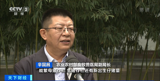 豬肉價格，為何漲了？接下來怎么走？農業農村部最新回應