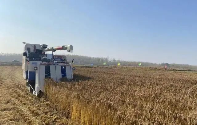 智慧農(nóng)業(yè)助力農(nóng)民豐收 無人駕駛農(nóng)機(jī)開進(jìn)農(nóng)田