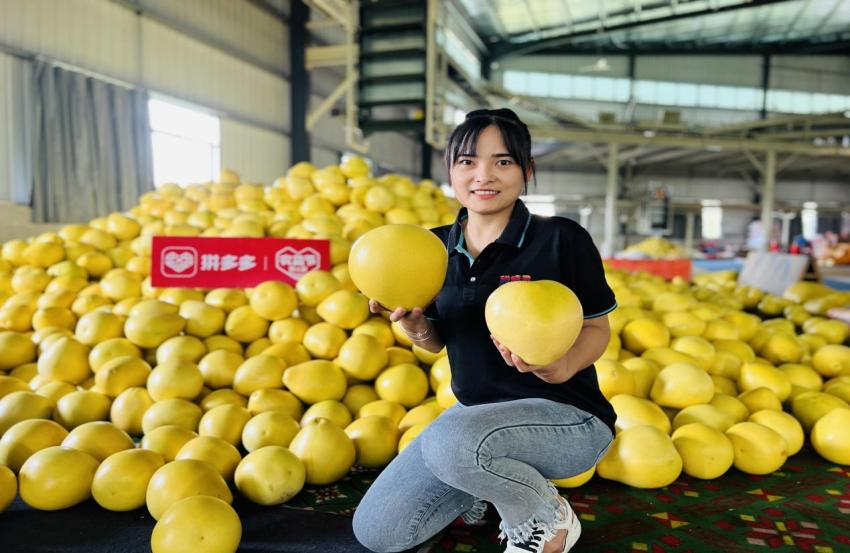 12.6萬“新新農(nóng)人”的回鄉(xiāng)務(wù)農(nóng)新方式