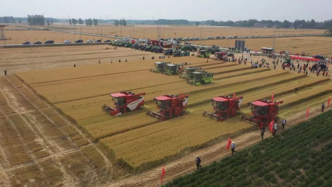 結(jié)構(gòu)優(yōu)化！一批重要農(nóng)機(jī)裝備實(shí)現(xiàn)國(guó)產(chǎn)化替代