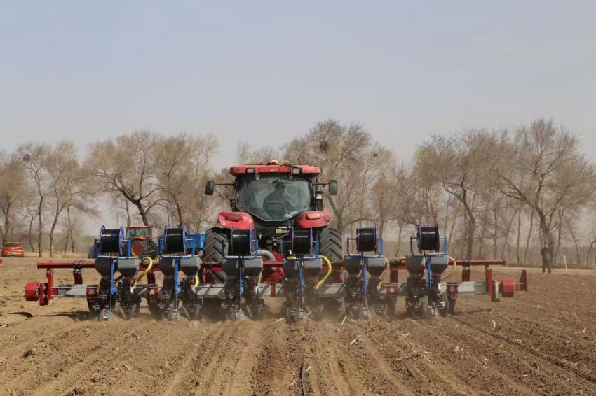 北大荒應用無膜淺埋滴灌水肥一體化技術抗風沙干旱 北大荒應用無膜淺埋滴灌水肥一體化技術抗風沙干旱