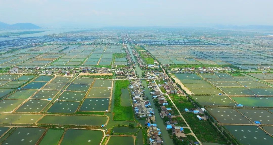 加快建設(shè)農(nóng)業(yè)強(qiáng)國(guó) 全面推進(jìn)鄉(xiāng)村振興