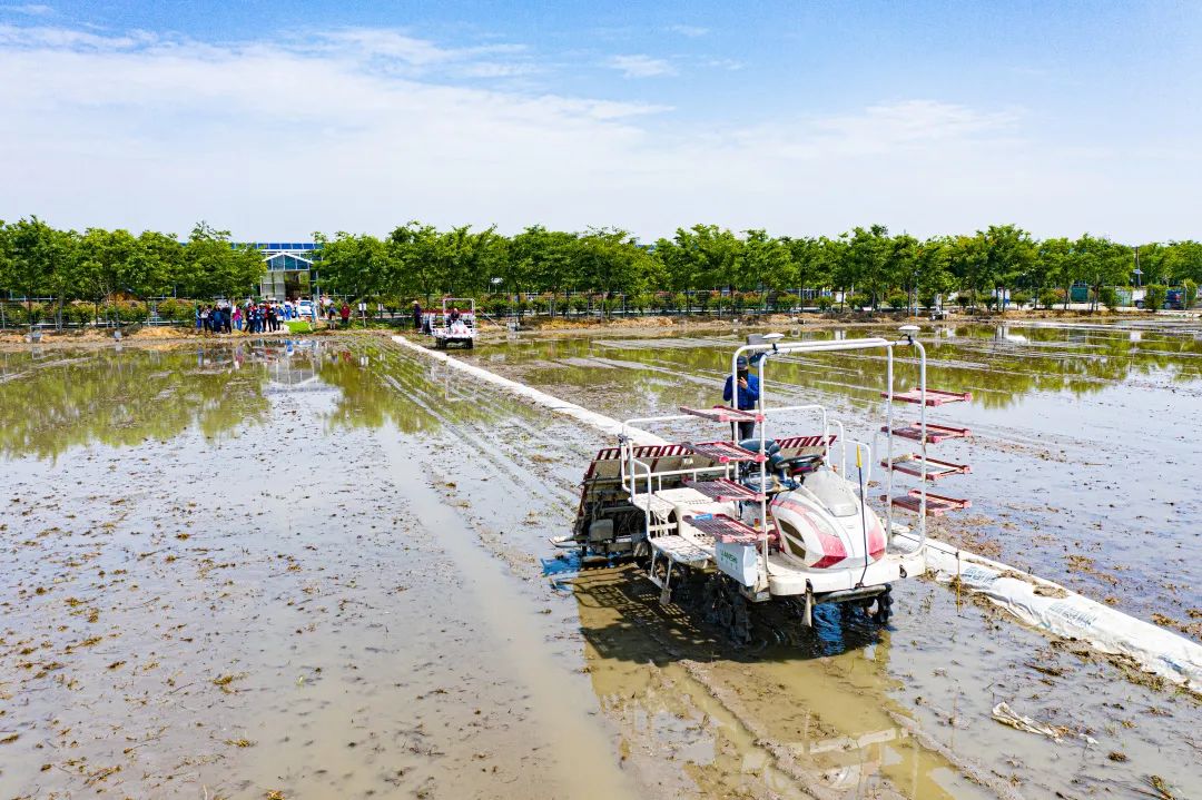 無人農(nóng)機加入滬郊水稻插秧大軍