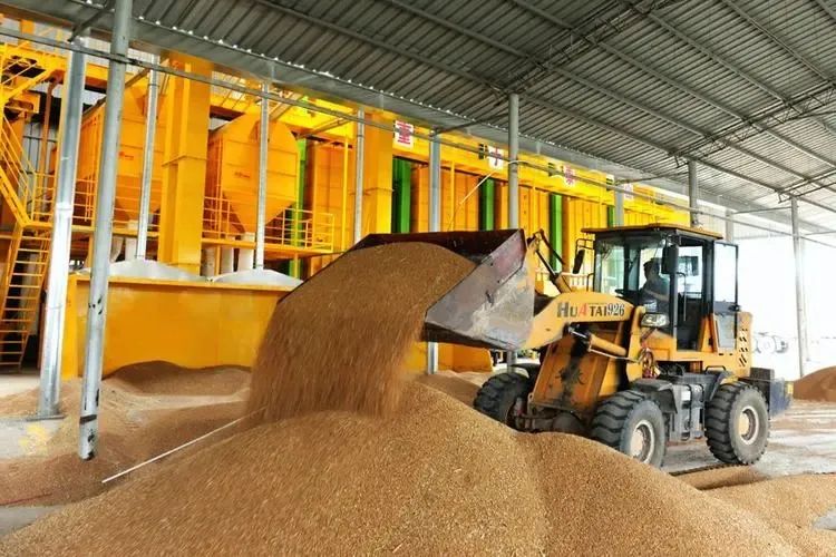 補(bǔ)上糧食產(chǎn)地烘干機(jī)械化短板 補(bǔ)上糧食產(chǎn)地烘干機(jī)械化短板