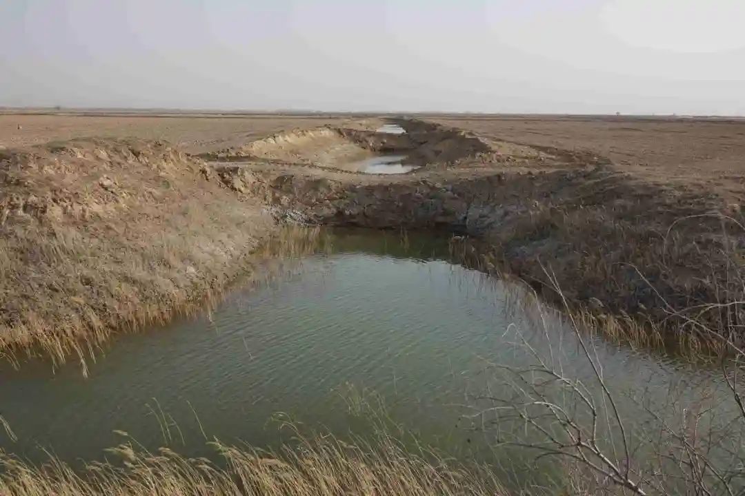 陜西榆林：6000余畝高標(biāo)準(zhǔn)農(nóng)田，緣何撂荒7年？